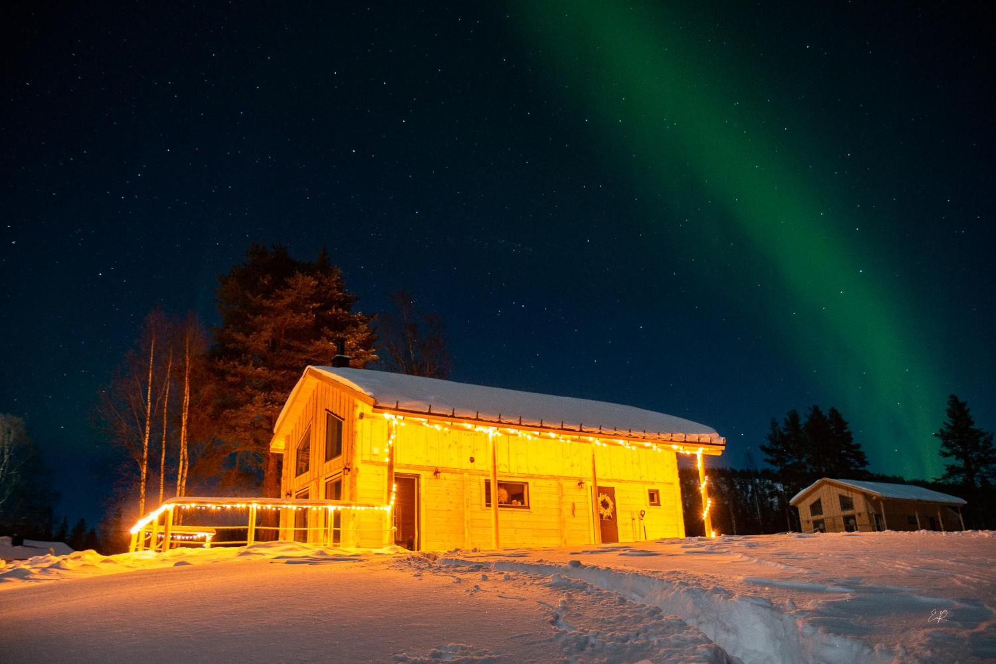 Blueberry Lodge 5 Personnes Mjolan Eksteriør bilde