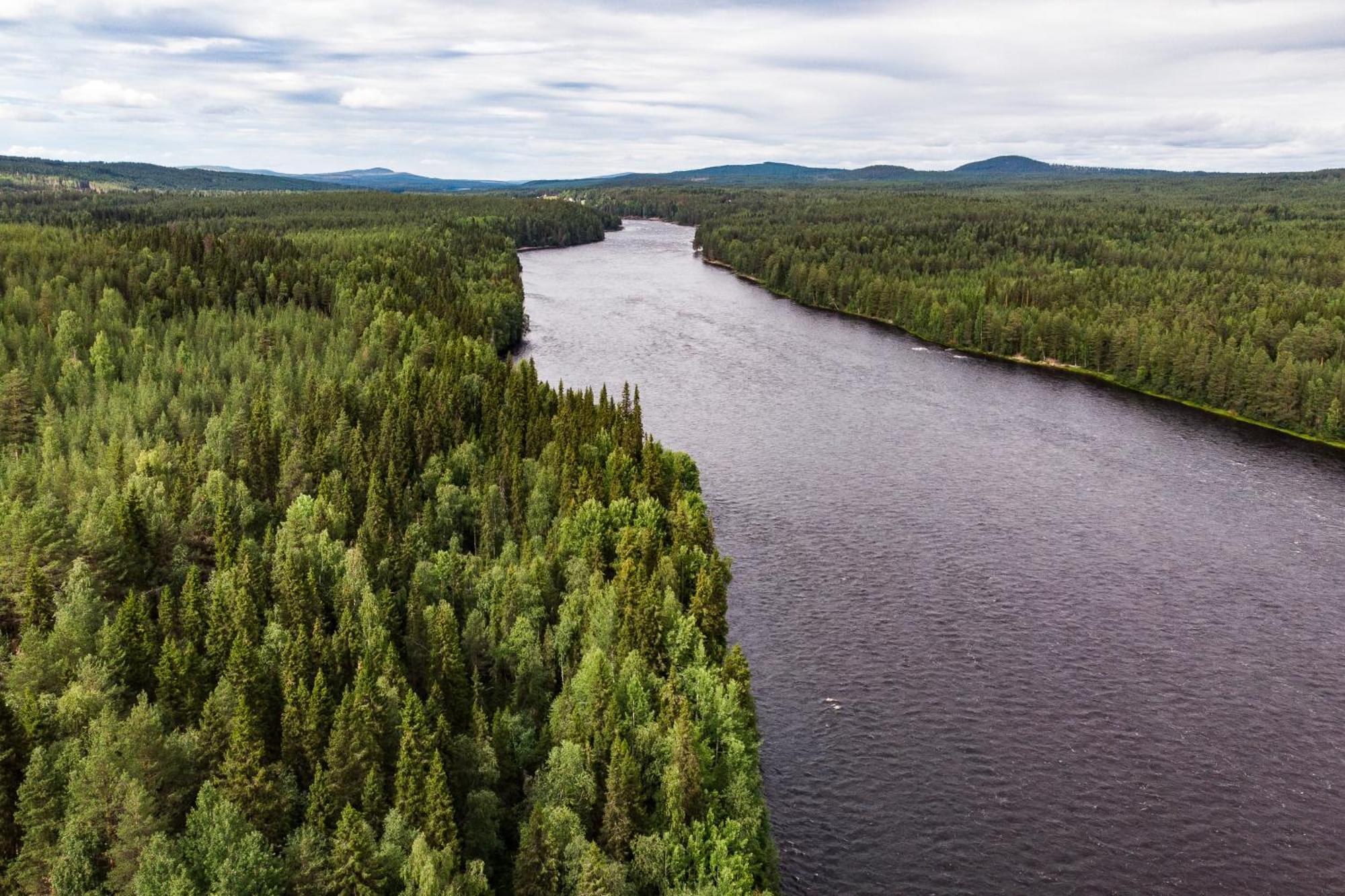 Blueberry Lodge 5 Personnes Mjolan Eksteriør bilde