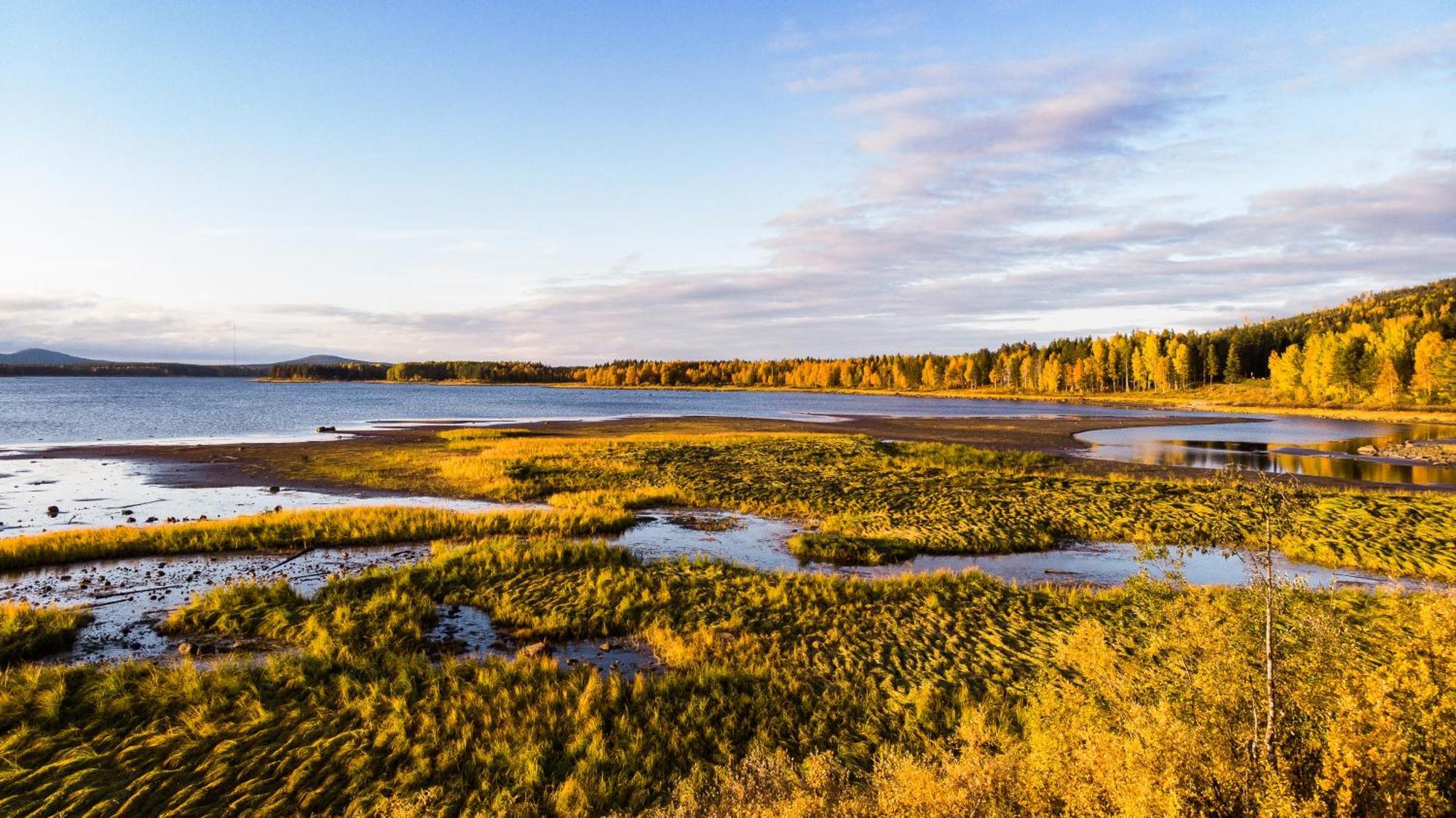 Blueberry Lodge 5 Personnes Mjolan Eksteriør bilde
