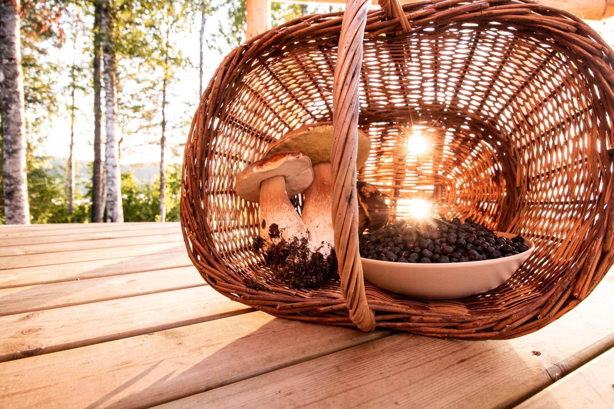 Blueberry Lodge 5 Personnes Mjolan Eksteriør bilde